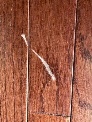 This the the gouge they made in my hardwood floor