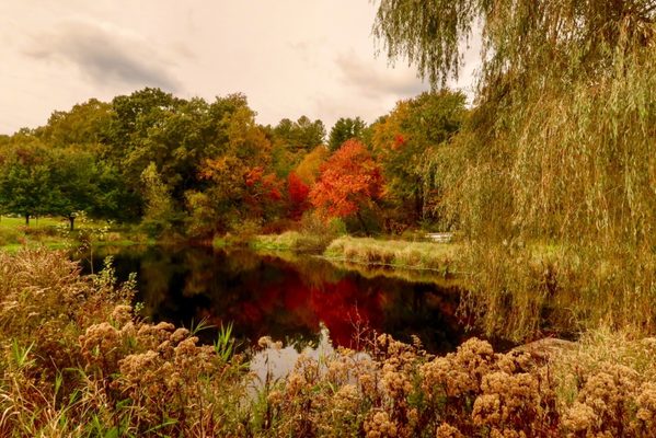 Hanson's Farm