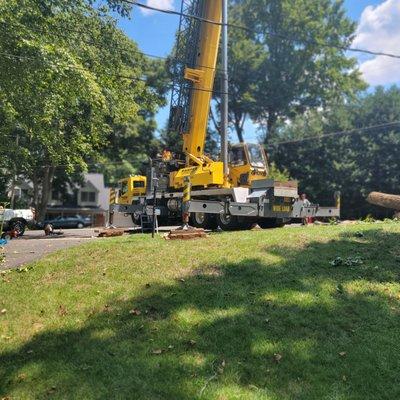 Tree Removal with a crane in McLean, VA with our friends at Fairfax Crane (highly recommended).