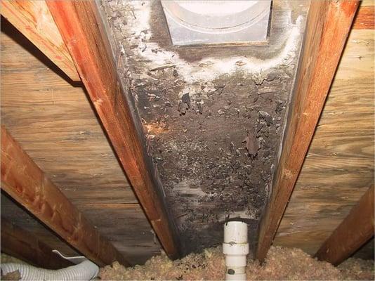 Q: If roof vents solve MOLD, why mold only on the deck near the vent? A: No water vapor control in this house. Must keep vapor from attic.