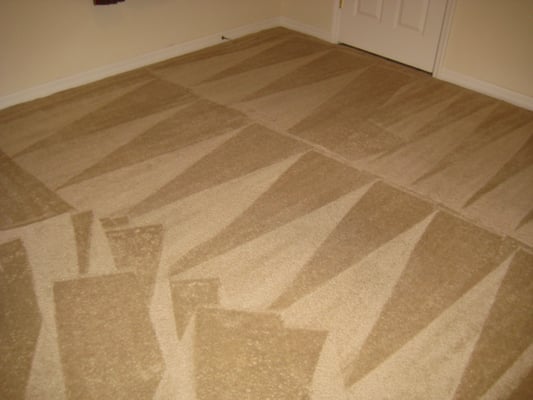 Carpet Cleaning