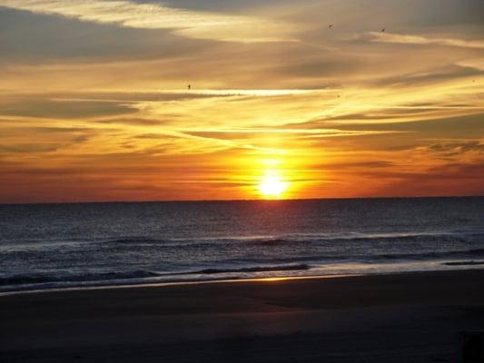 Enjoy a morning walk on the beach!