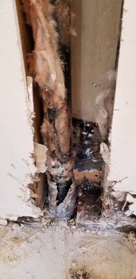 Moldy, leaky sewer pipe from upper level (customer submitted photo).