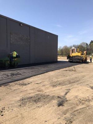 Bees Asphalt and Concrete