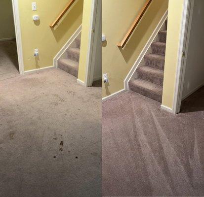 Carpet clean