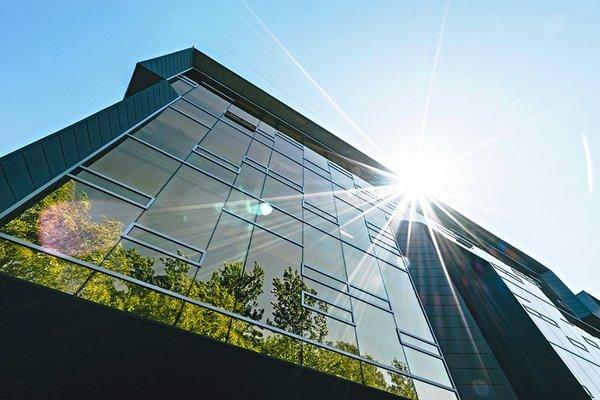 Window Films to protect your building