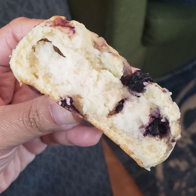 Blueberry scone, filled with cream cheese.