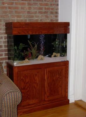 A nice in home aquarium