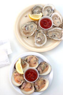 Little Necks Clams ($8) and Oysters ($14)