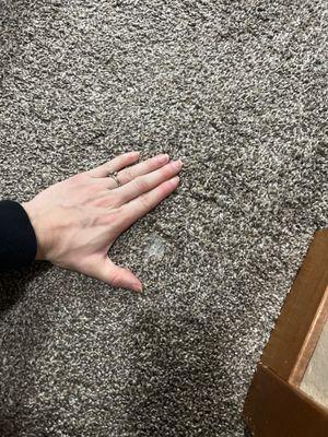 Moved in with holes in the carpet, I'm sure they will make us pay for the replacement. I took photos prior to moving in.