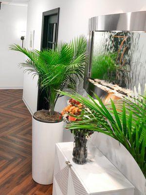 Water feature and palms located in our entry for a serene environment.