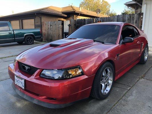 00 Mustang GT windshield 35% and DS & PS 5%