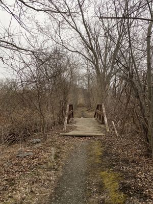 path boardwalk