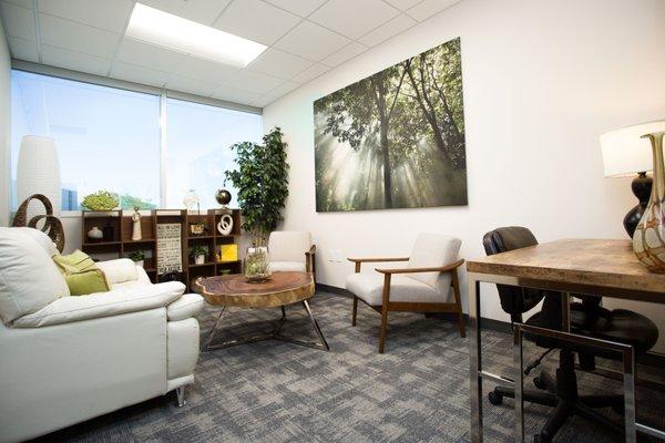 Our "Harmony" Counseling Room with organic elements and large windows.