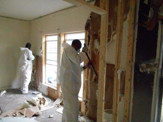 Mold Remediation