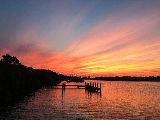 Tillerboatworks sharing some nature