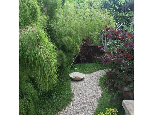 Zen oasis with drought tolerant plantings