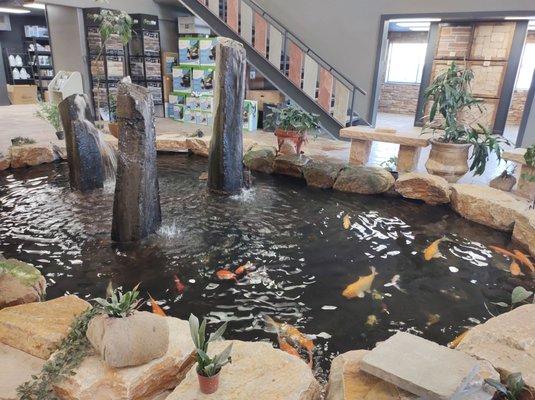 Inside Beautiful Pond with fish and turtles!