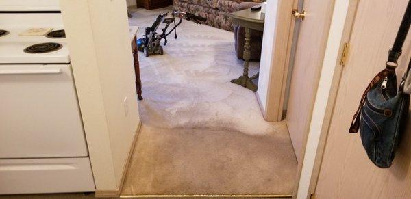 Carpet Cleaning with the Roto Vac 360i