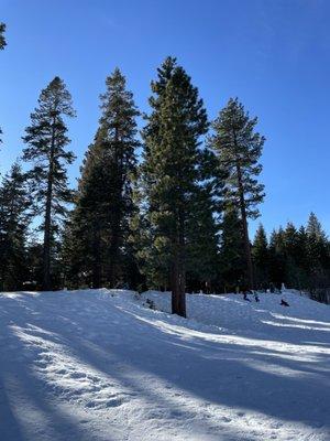 Snow hills to sled down.