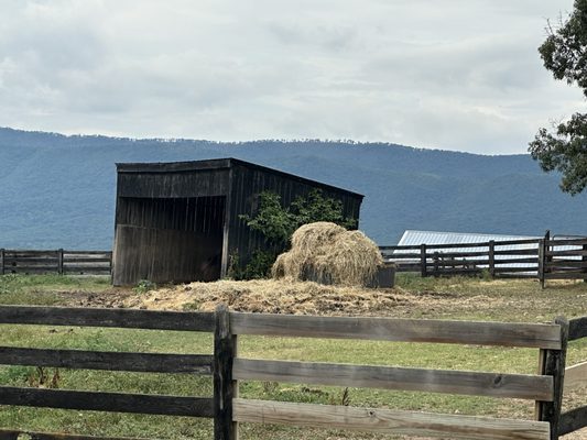 River Hill Stables