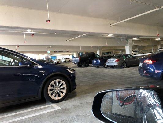 5 Tesla's waiting in line to charge