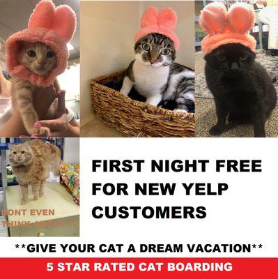 First Night Free For New Yelp Customers