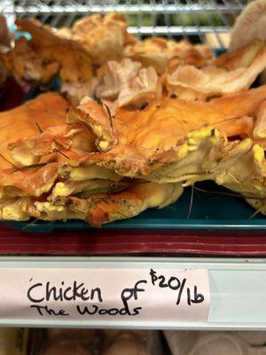 Chicken of the woods are my new fav!