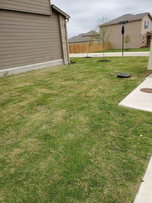 Brought back existing SOD so it didn't have to be replaced like other companies told me. Saving me thousands of dollars