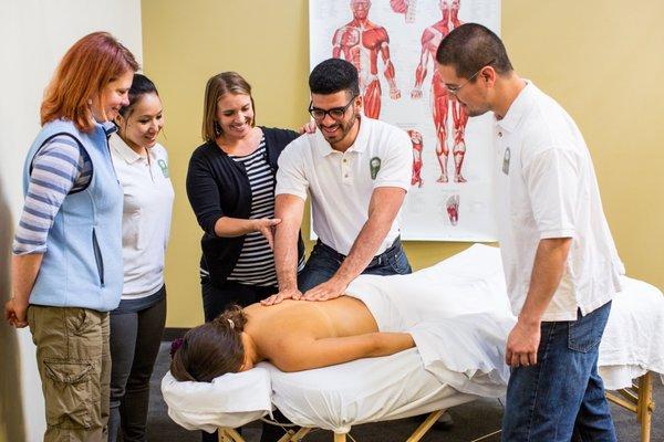 Train with passionate experts in the field of massage therapy who are committed to your success.