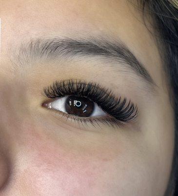 hybrid lash