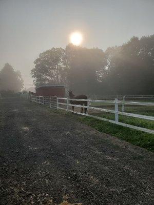 A foggy morning