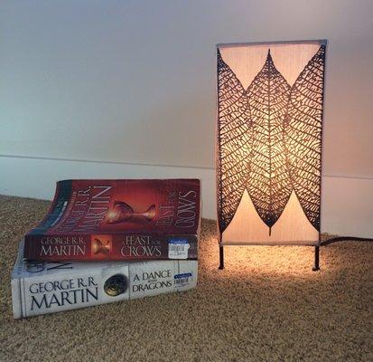 My goodwill goodies. Books & the lamp. Less than $10 for all 3. :)