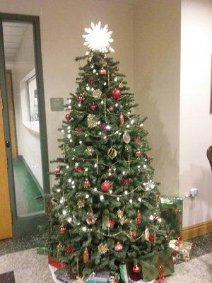 Official Borough Christmas tree, decorated by Abbey, Borough main office.