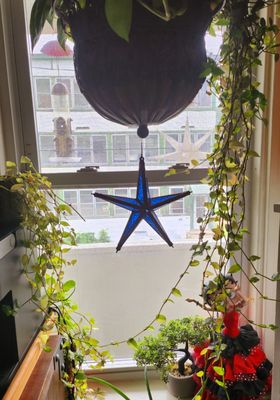 Blue stained glass star