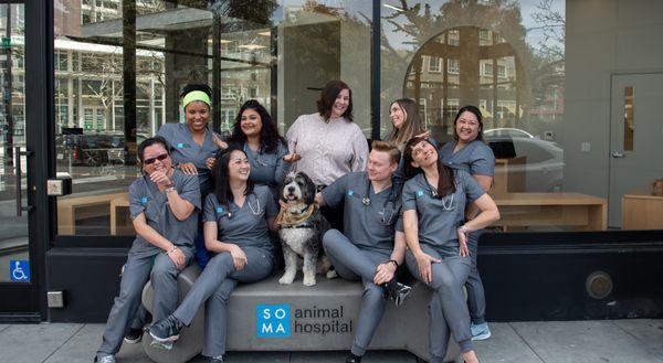 SoMa Animal Hospital