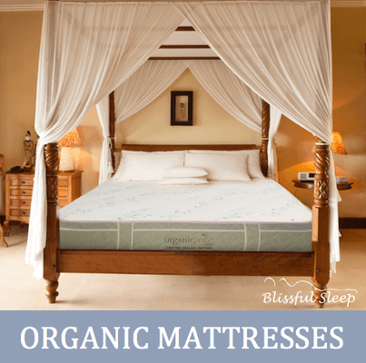 Blissful Sleep Natural Organic Mattress Stores carries the largest selection of natural Talalay latex & Dunlop organic mattresses.