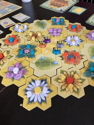 We were looking for a creative gift for our 12 year old niece and the owner recommended this game - Beez. Everyone loved it! Great rec!