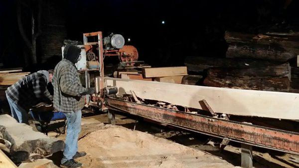 A large timber going through our sawmill. We have standard capacity up to 21' long and have sawn as long as 40'