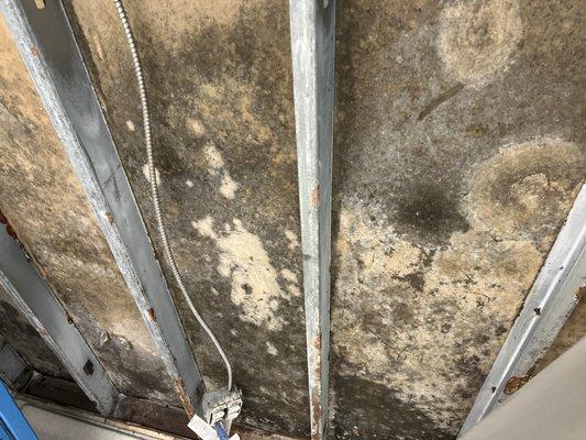 During the remediation process, hidden mold growth discovered inside the wall cavity.