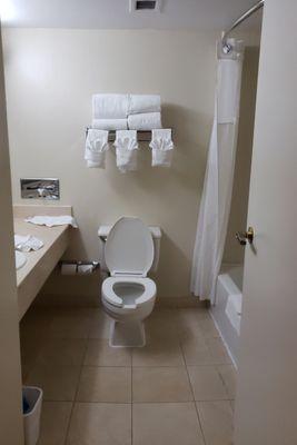 Bathroom in Our Room at Midwestern Inn