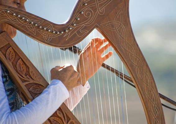 Learning harp with our teachers is a great way to relax, unwind and discover a rare but popular instrument!