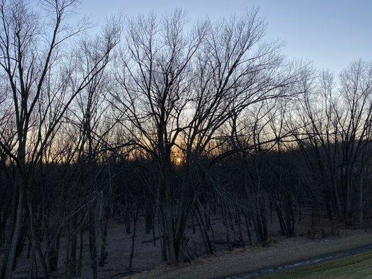 Kirby Park | Frost In The Trees | Early Stroll