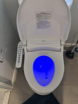 Well, I broke down and paid $365 for this electric heated toilet seat yeah I know I'm freaking out there somewhere