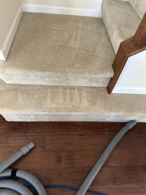 carpet cleaning