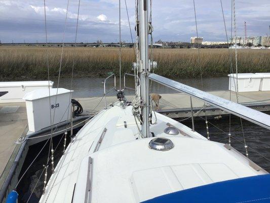 Our dock is along the Ashley River