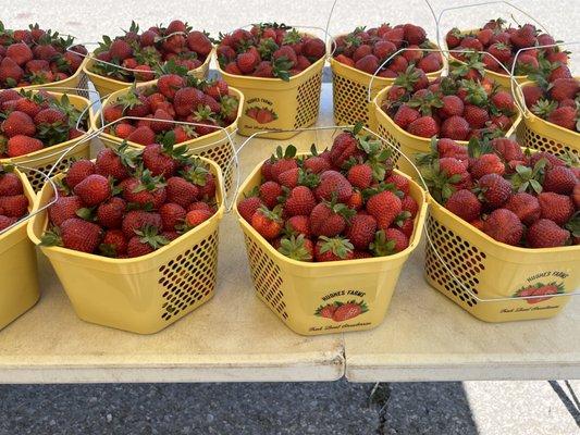 Strawberries from our farm