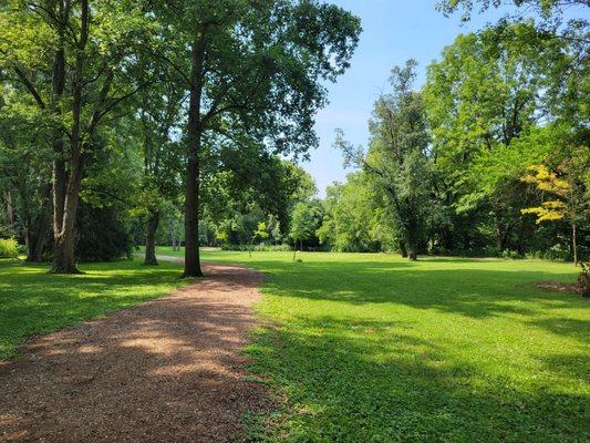 Mulch trail and greenspace