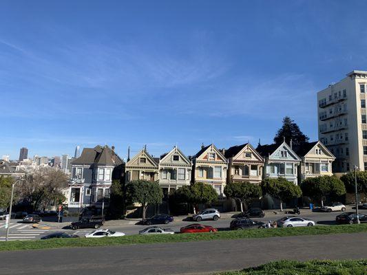 Painted Ladies