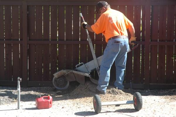 Gordy removing one of our stumps from a tight spot (concrete surrounding the stump).